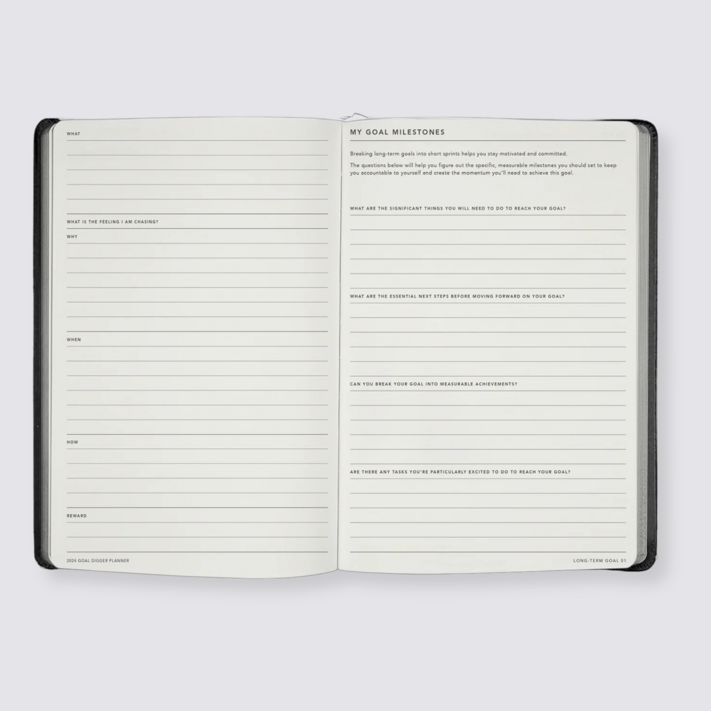 Weekly goal planner diary 2024
