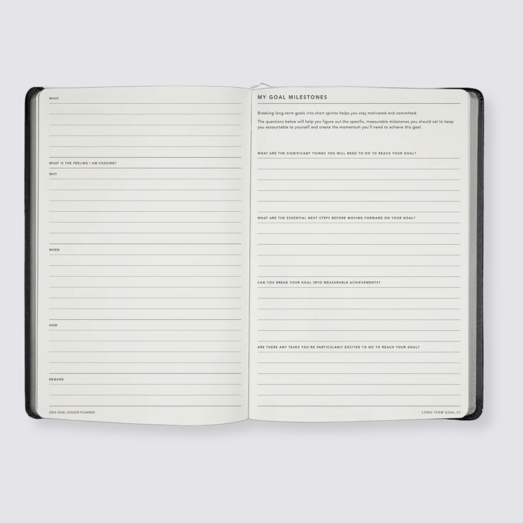 2024 Goal Digger Diary - Bold / Black
