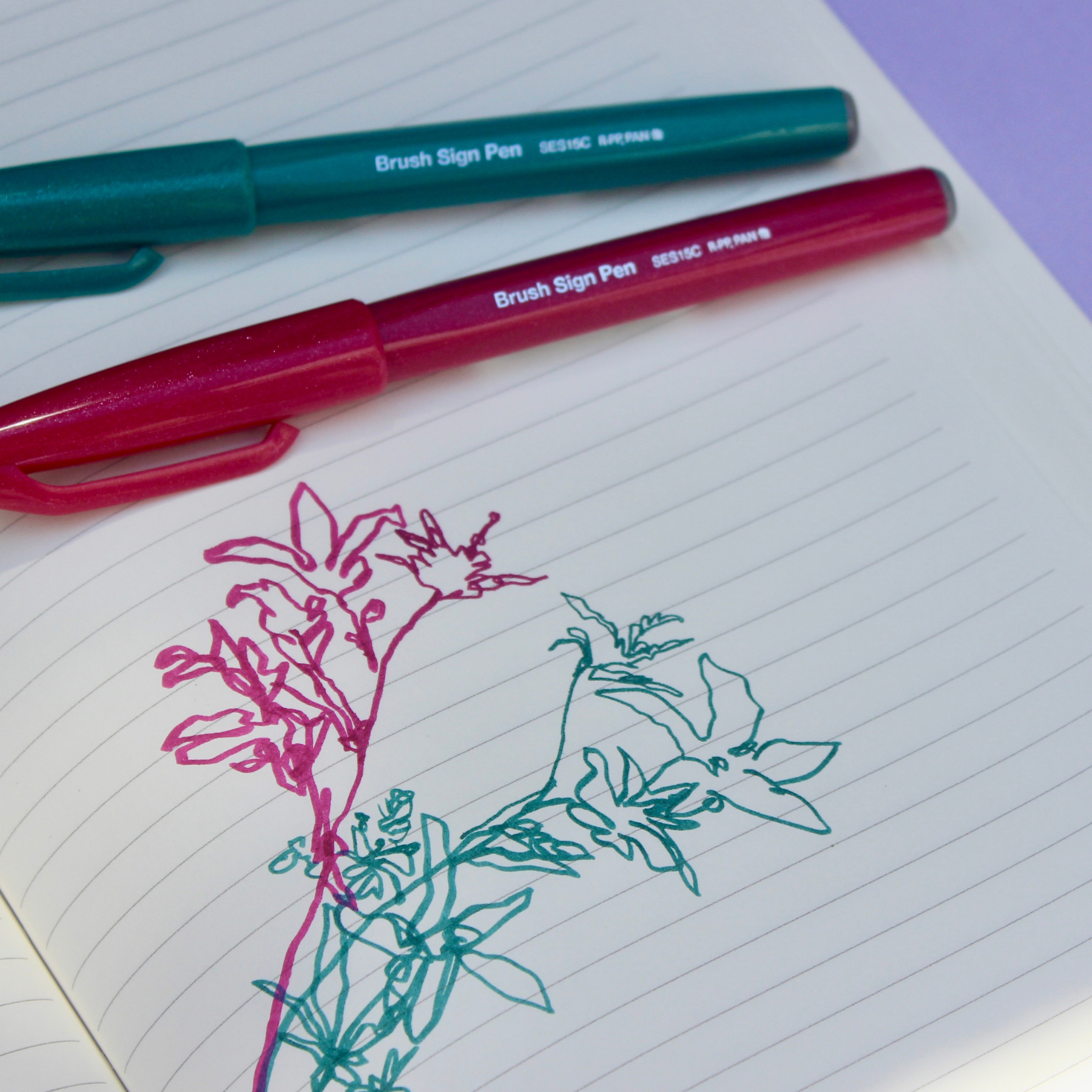 Brush Sign Pen