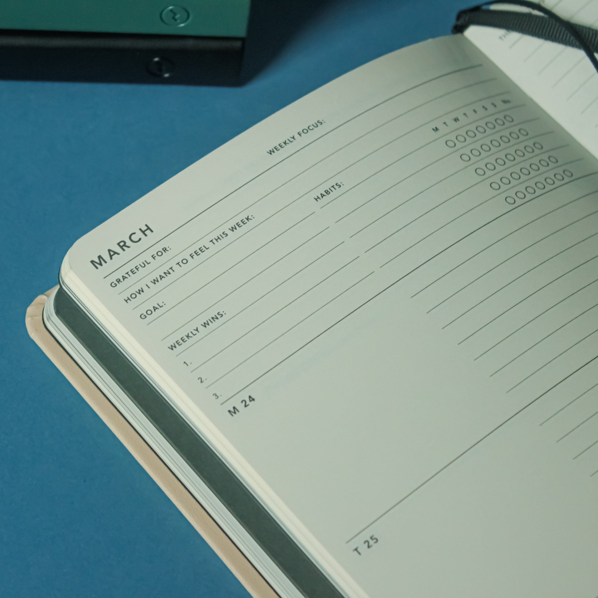 2025 Weekly Spread Diary - Teal