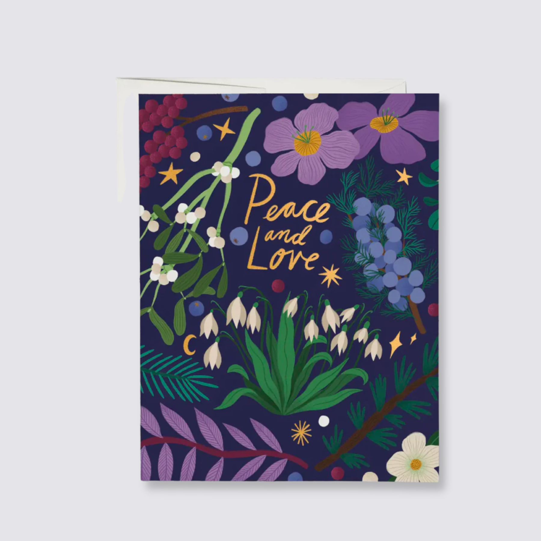Winter Botanicals - Set of 8