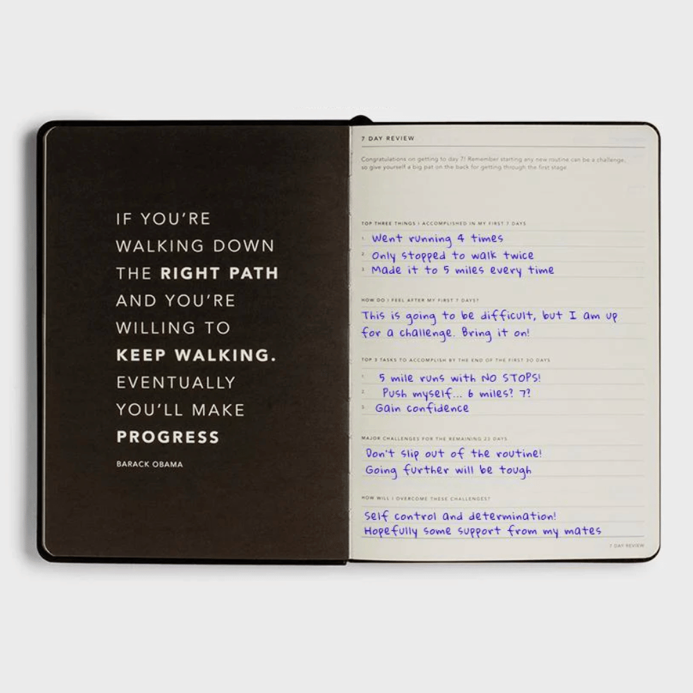 Progress Journal - Lilac