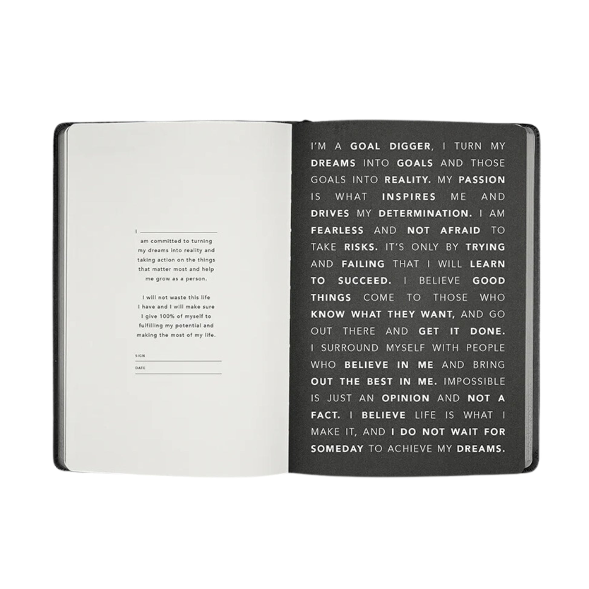 2025 Goal Digger Diary - Bold / Lemon