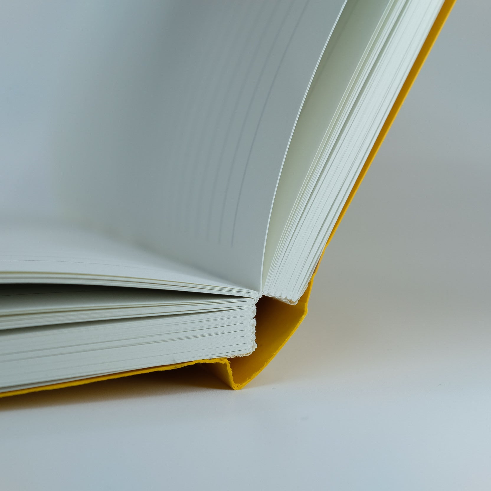 Clissold Notebook