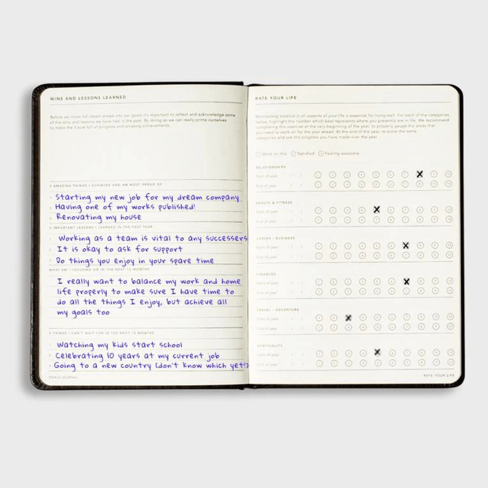 Goals Journal - Pink