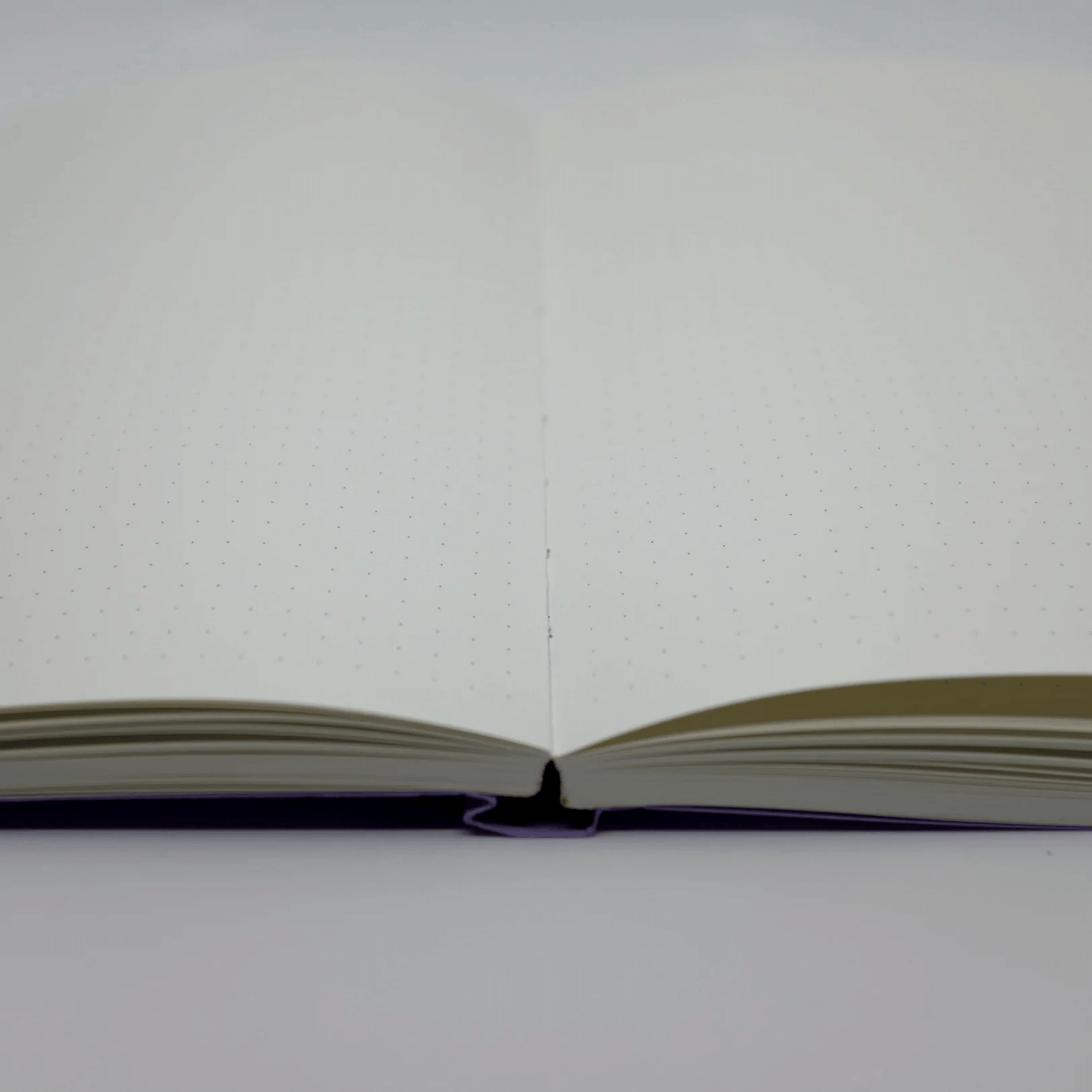 Calypso Notebook