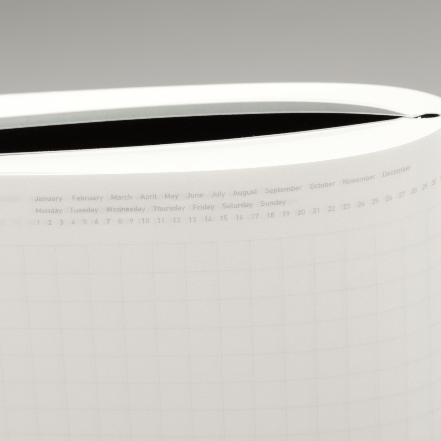 365 Days Graph Notebook - B6 / Blue